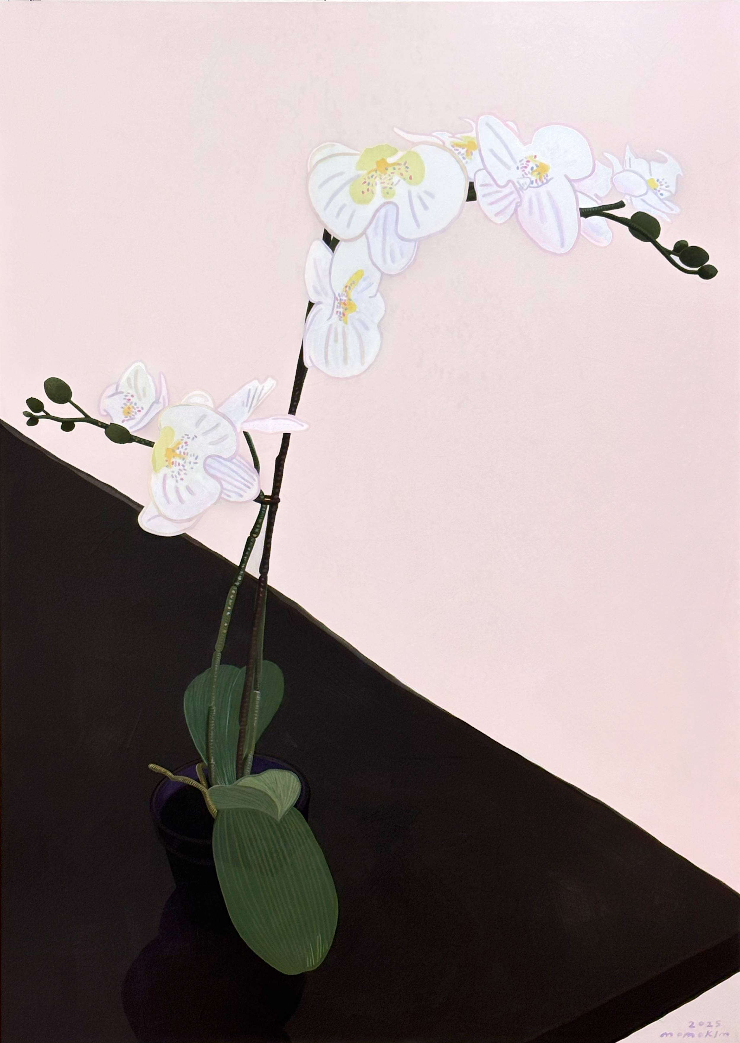2025 — MOMO KIM